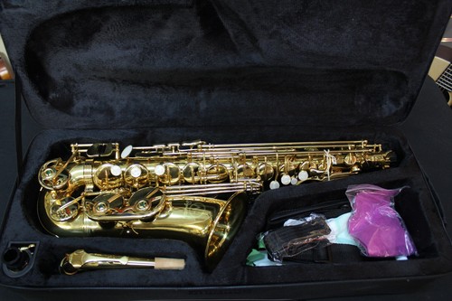 Signature alto saxophone - signature,