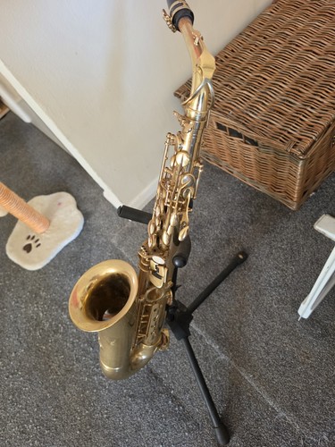 Trevor james alto - alto, saxophone