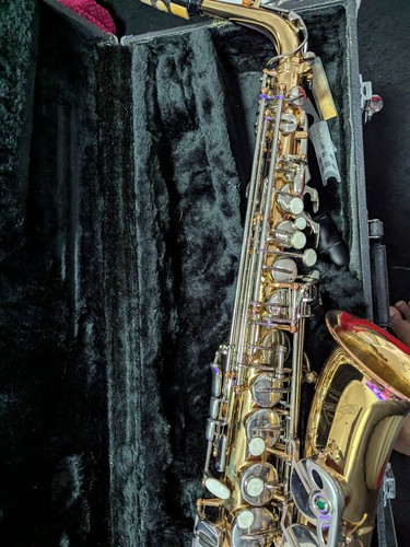 Alto schwarzschild saxophone - alto,