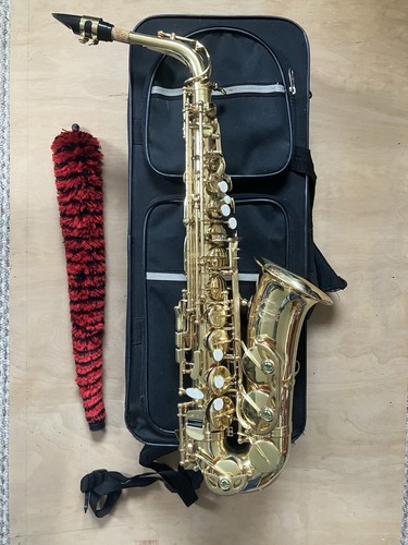 Saxophone with case cleaner - with,