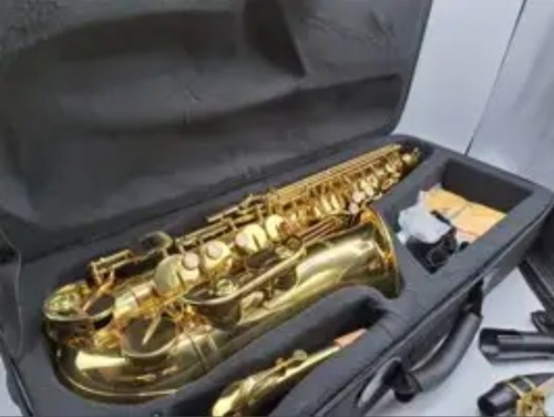 Freshman saxophone gold - -freshman,