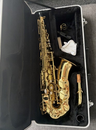 Alto saxophone gold with hard - saxophone,