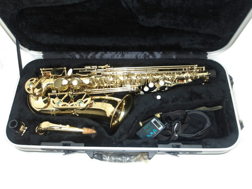 Earlham professional series - professional, 2