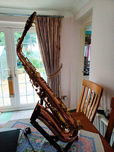 Sakkusu deluxe alto saxophone - sakkusu,