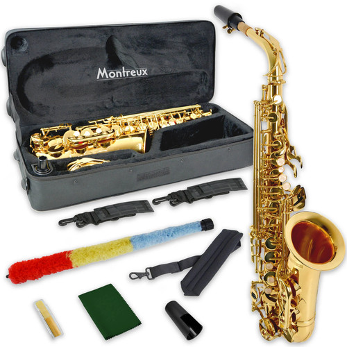 Student alto saxophone high - saxophone,