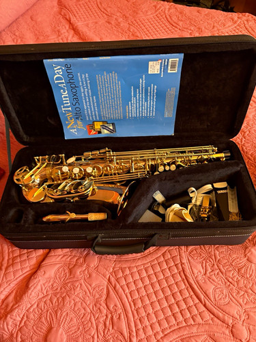 Balthus alto saxophone - saxophone, brass