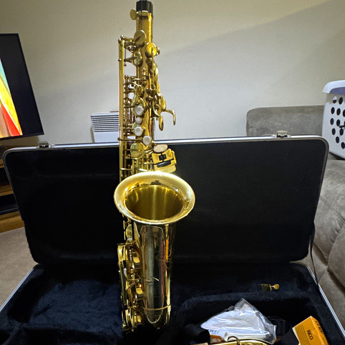 Gold lacquered brass alto - gold,