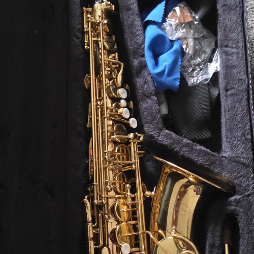 Sonata saxophone gold - saxophone,
