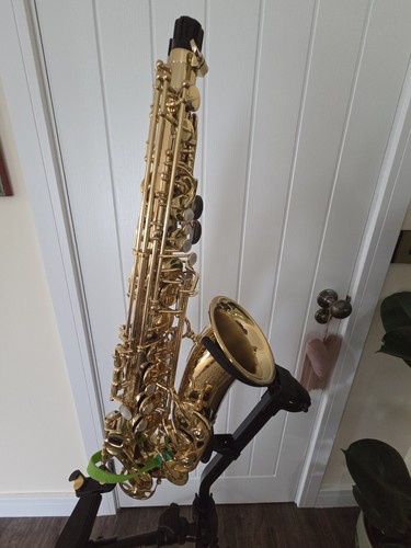 Yanigasawa aw10 alto saxophone - yanigasawa,